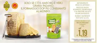 MD Discount Grana Padano D.O.P Malga Paradiso Grattugiato 100 g offerta