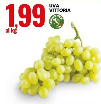 Uva Vittoria