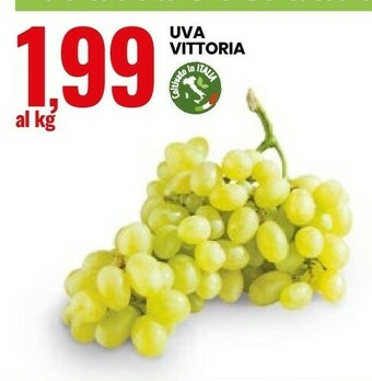 Eurospin Uva Vittoria offerta