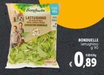 Deco Supermercati Bonduelle Lattughino g 90 offerta
