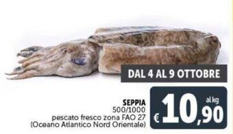 Deco Supermercati Seppia 500/1000 pescato fresco zona FAO 27 offerta