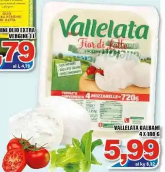 Sacoph Vallelata Galbani 4 x 180g offerta