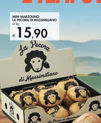 Mini marzolino la pecora di massimiliano