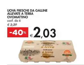 Bennet Uova esche da galline allevate a terra ovomaltino offerta