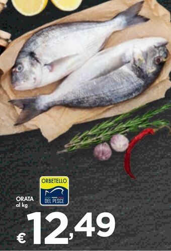 Bennet Orata offerta