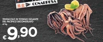 Bennet Tentacolo di totano gigante del pacifico decongelato offerta