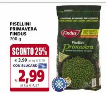 Il Gigante Piselli primavera findus offerta