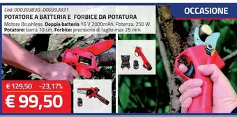 Eurobrico Potatore a batteria e forbice da potatura offerta