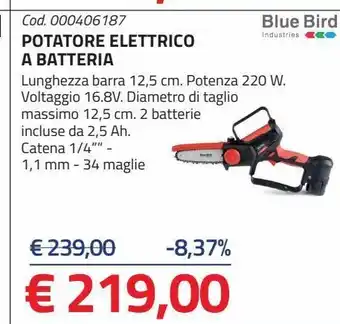 Eurobrico Potatore elettrico a batteria offerta