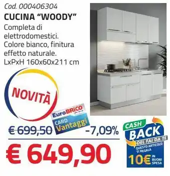 Eurobrico Cucina "woody" offerta