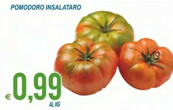 Pomodoro Insalataro