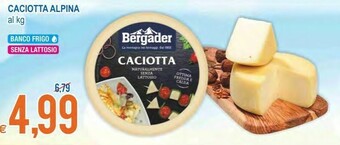 MD Discount Bergader Caciotta Alpina offerta