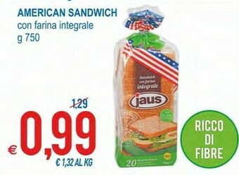 MD Discount Jaus American Sandwich Con Farina Integrale offerta