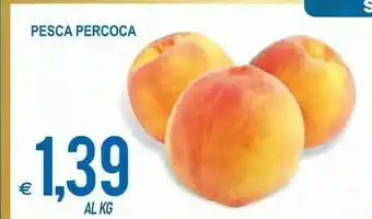 MD Discount Pesche offerta