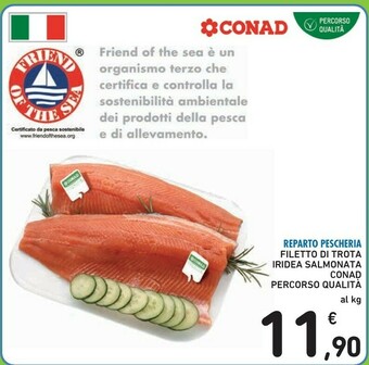 Conad Trota offerta