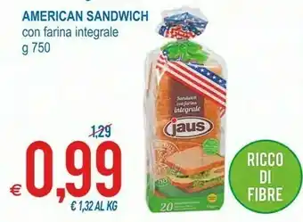 MD Discount Jaus American Sandwich Con Farina Integrale offerta