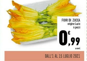 Conad Fiori Di Zucca offerta