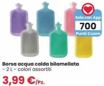 Interspar Borsa acqua calda bilamellata 2 L offerta