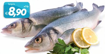 Iper Super Conveniente Spigole offerta
