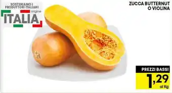 Zucca Butternut o Violina