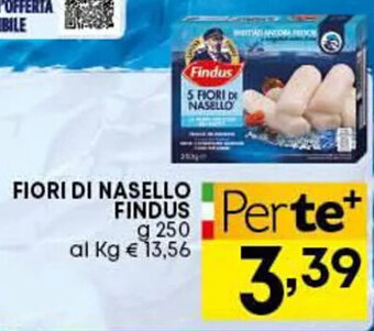 Pam Findus Fiori di Nasello 250 g offerta