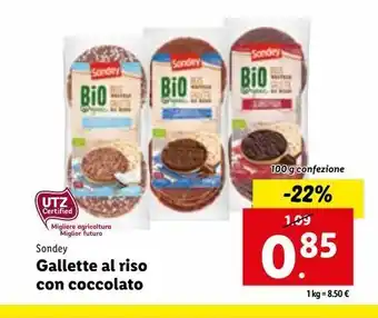 Lidl Gallette al riso con cioccolato offerta