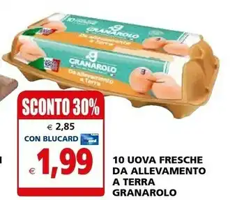Il Gigante Granarolo 10 Uova Fresche Da Allevamento A Terra offerta