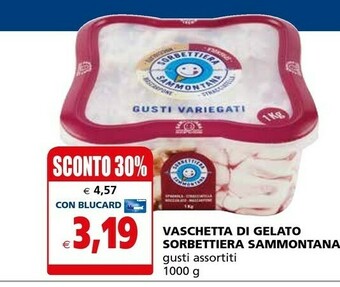 Il Gigante Sammontana Gelato offerta