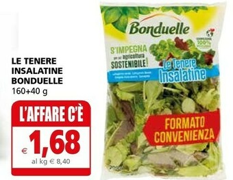 Il Gigante Bonduelle Insalata offerta