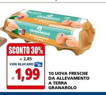 Il Gigante Granarolo 10 Uova Fresche Da Allevamento A Terra offerta