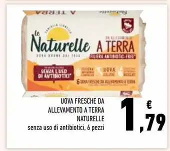 Conad Uova fresche da allevamento a terra naturelle offerta