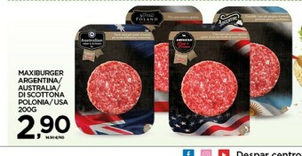 Despar Hamburger offerta