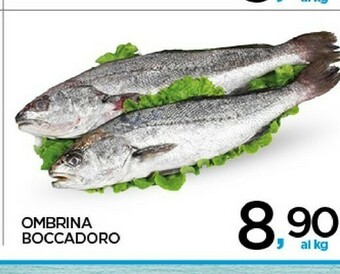 Despar Pesce offerta