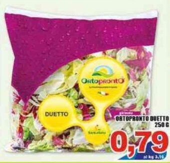 Sacoph Ortopronto Duetto 250 g offerta