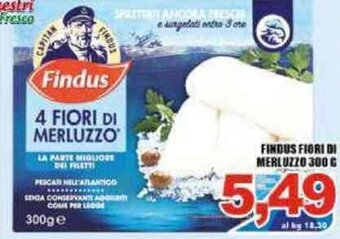 Sacoph Findus Fiori di Merluzzo 300 g offerta