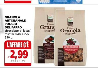 Il Gigante Poggio del farro Granola Artigianale Mirtilli Rossi E Noci 250 G(ml) offerta