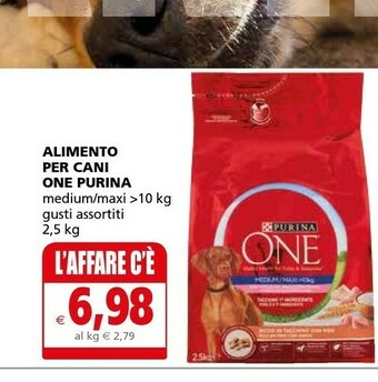 Il Gigante Purina Alimento Per Cani One offerta