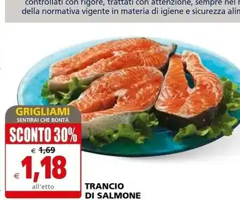 Il Gigante Trancio Di Salmone