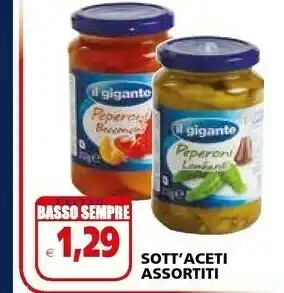 Il Gigante Il Gigante Sott'aceti offerta