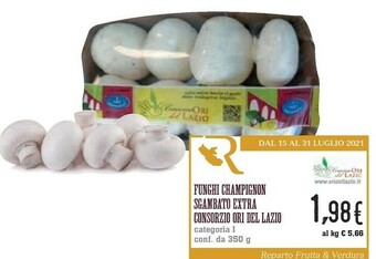 Conad City Consorzio ori del lazio Funghi Champignon Sgambato Extra offerta