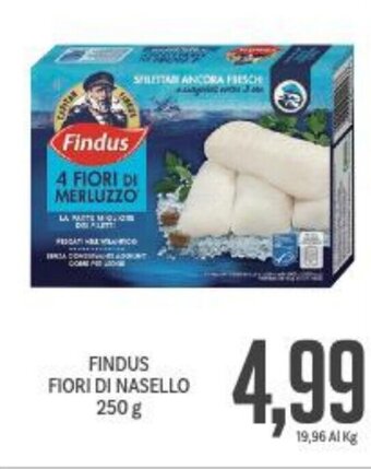 Supermercati Piccolo Findus Fiori di Nasello 250 g offerta