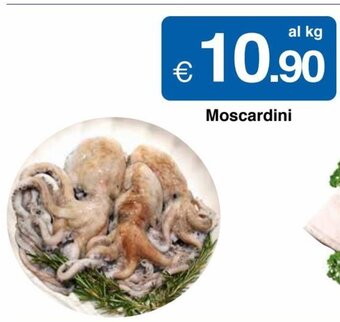 Moscardini