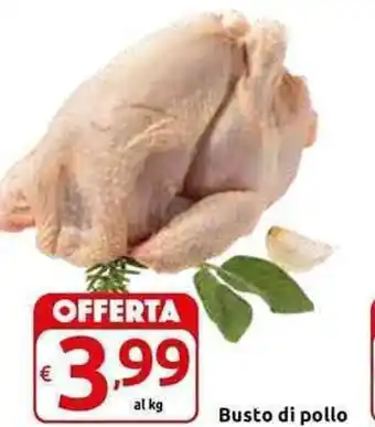 Carrefour Express Busto di Pollo offerta