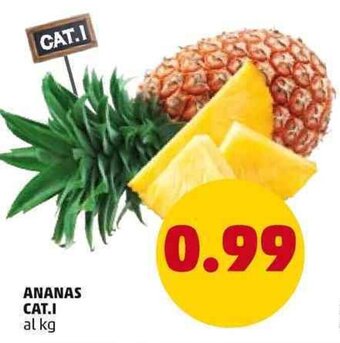 PENNY Ananas Cat.I offerta