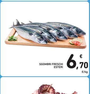 Filetto di trota salmonata fresca conad percorso qualità