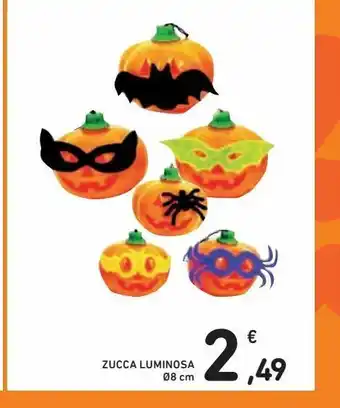 Spazio Conad Zucca luminosa offerta