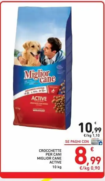 Crocchette per cani miglior cane active 10 kg