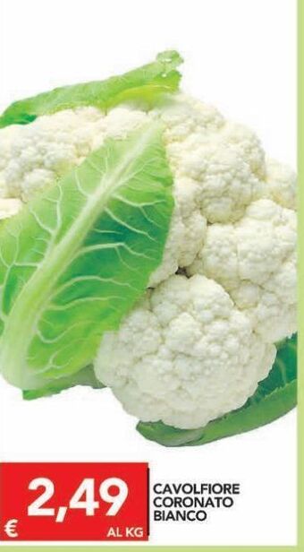 TuoDi Cavolfiore coronato bianco offerta