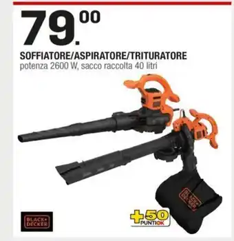 Brico OK Soffiatore/Aspiratore/Trituratore potenza 2600 W. sacco raccolta 40 litri offerta