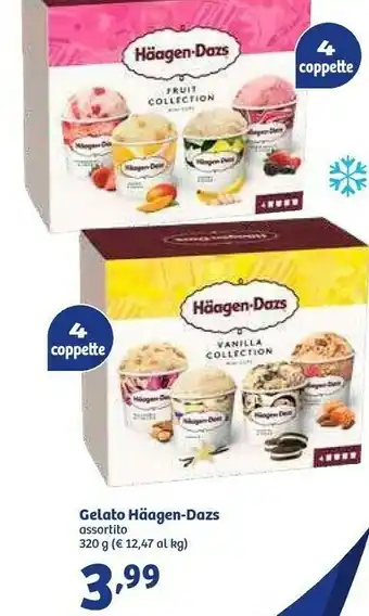 In'S Mercato Gelato offerta